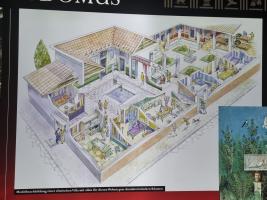 Wien Ausflug mit Besuch der Pompeji-Ausstellung