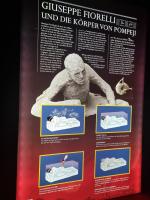 Wien Ausflug mit Besuch der Pompeji-Ausstellung