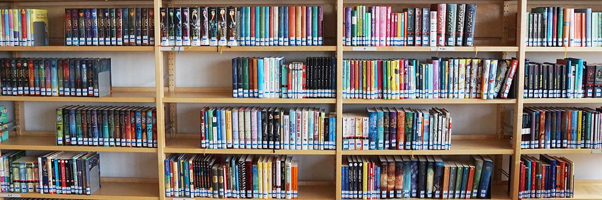 Headerbild mit Büchermotiv