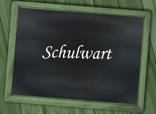 Schulwart